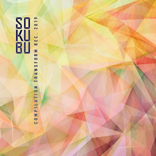 VA – Sokubu Compilation Transform Recordings 2019