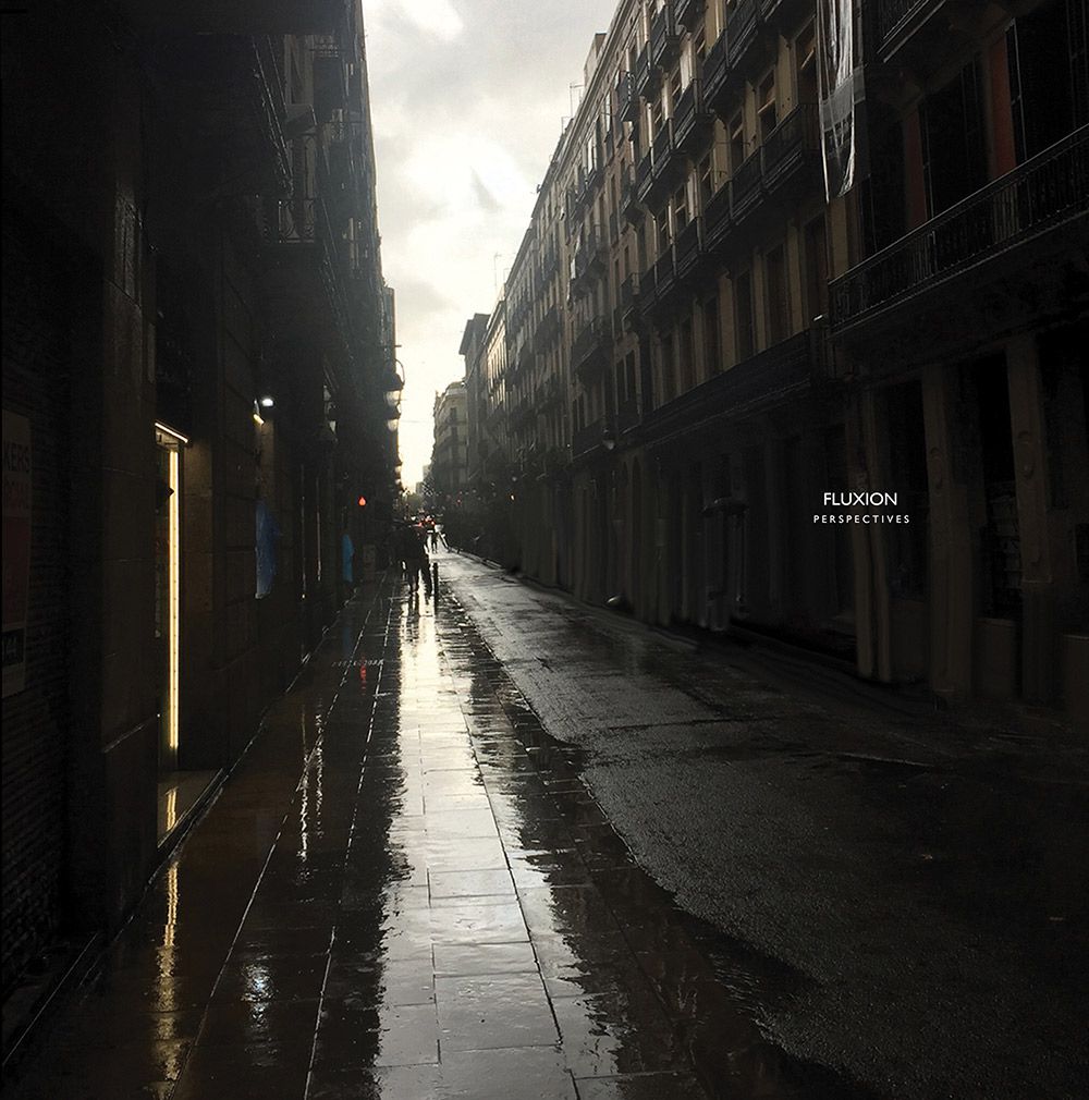 Fluxion – Perspectives