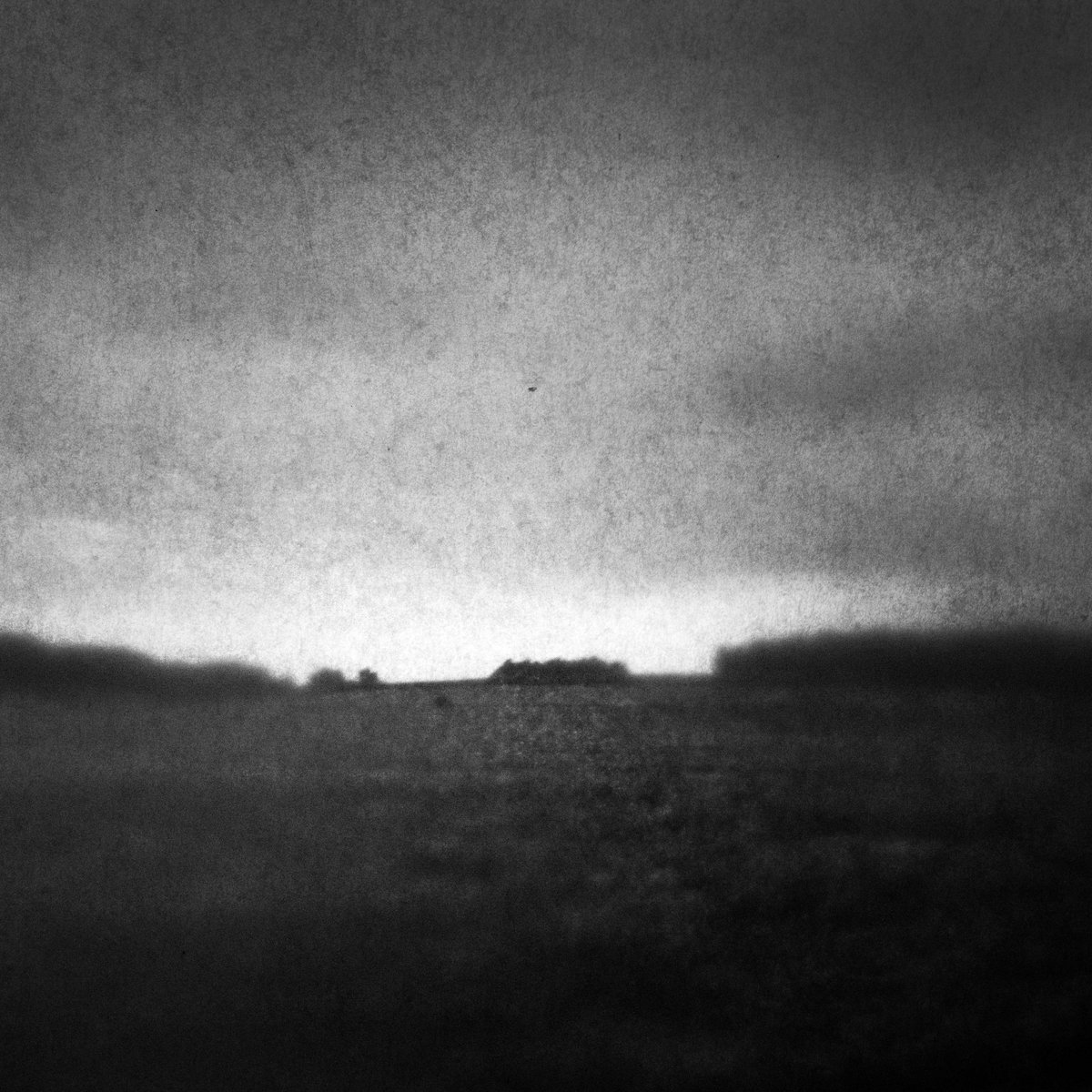 Dag Rosenqvist – Fields