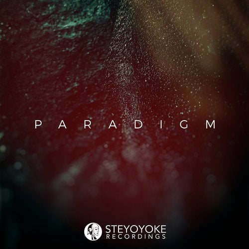 VA – Steyoyoke Paradigm, Vol. 7