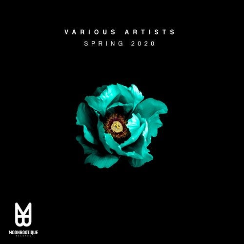 VA – Spring ’20