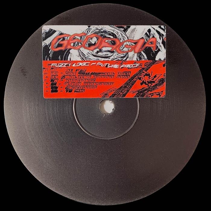 Georgia – Fuzzy Logic / Future Proof