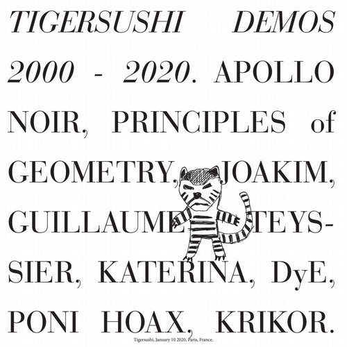 VA – TIGERSUSHI DEMOS 2000-2020