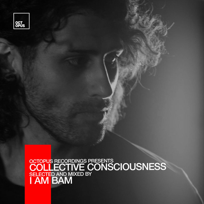 I Am Bam – Collective Consciousness