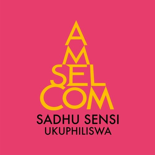 VA – Ukuphiliswa