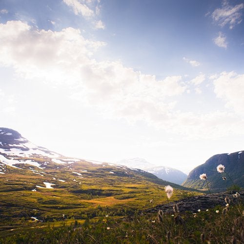 Christian Berg – Skogsro