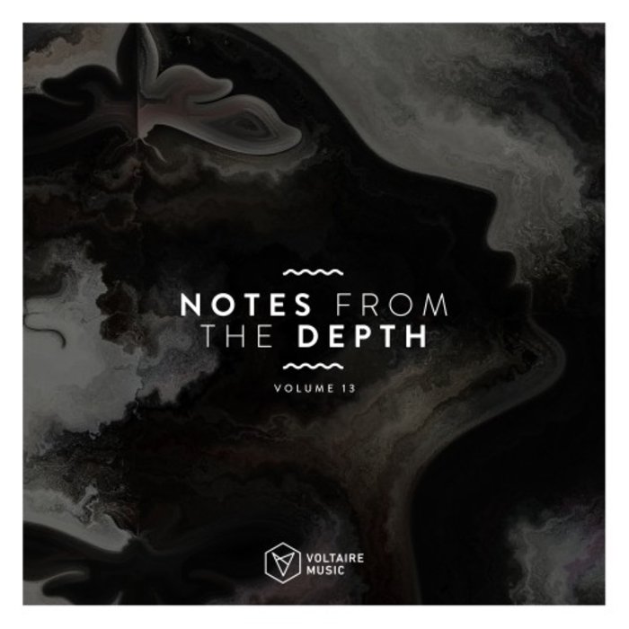 VA – Notes from the Depth, Vol. 13