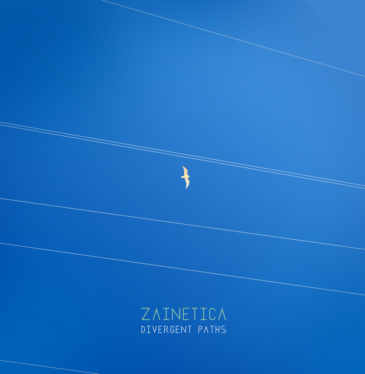 Zainetica – Divergent Paths