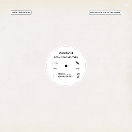 Ana Roxanne – Because of a Flower