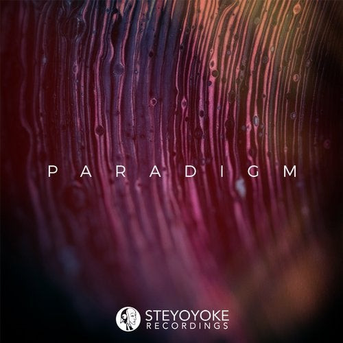 VA – Steyoyoke Paradigm Vol. 08