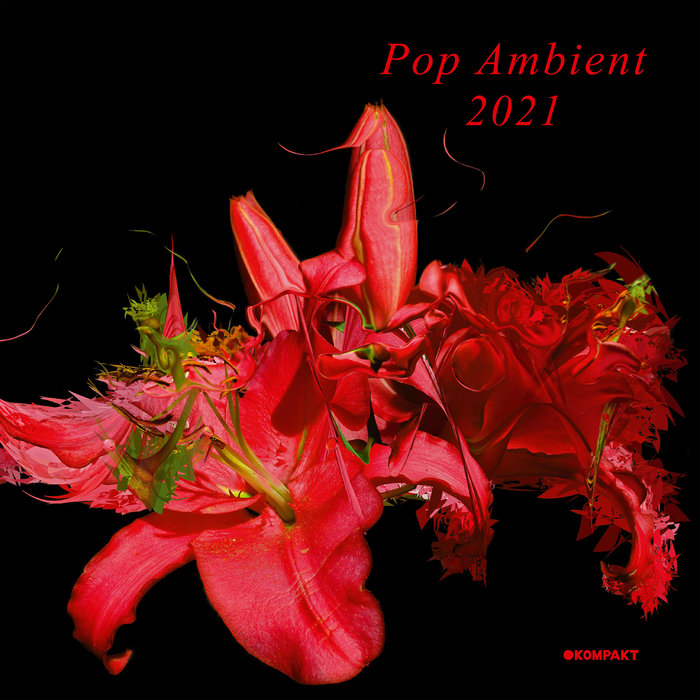 VA – Pop Ambient 2021