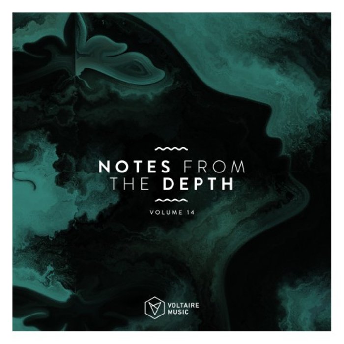 VA – Notes from the Depth, Vol. 14