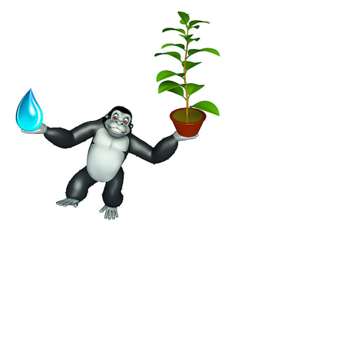 Mister Water Wet & Monkey 20 – MWW & Monkey 20 Present Mind Phreak