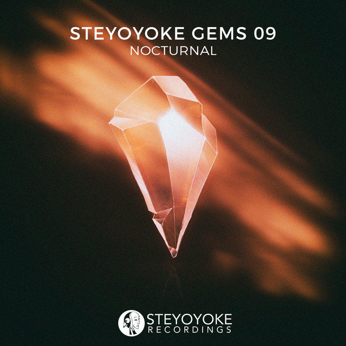 VA – Steyoyoke Gems Nocturnal 09
