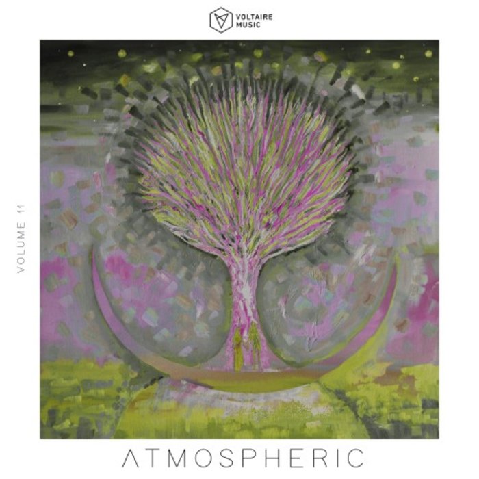 VA – Voltaire Music Pres. Atmospheric, Vol. 12