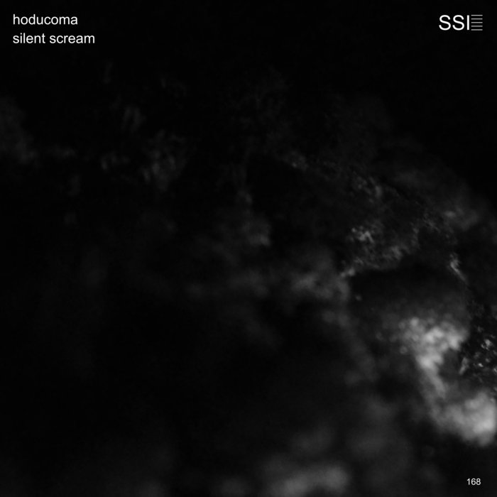 Hoducoma – Silent Scream