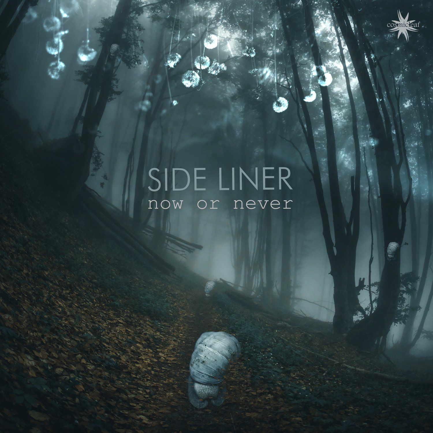 Side Liner – Now or Never