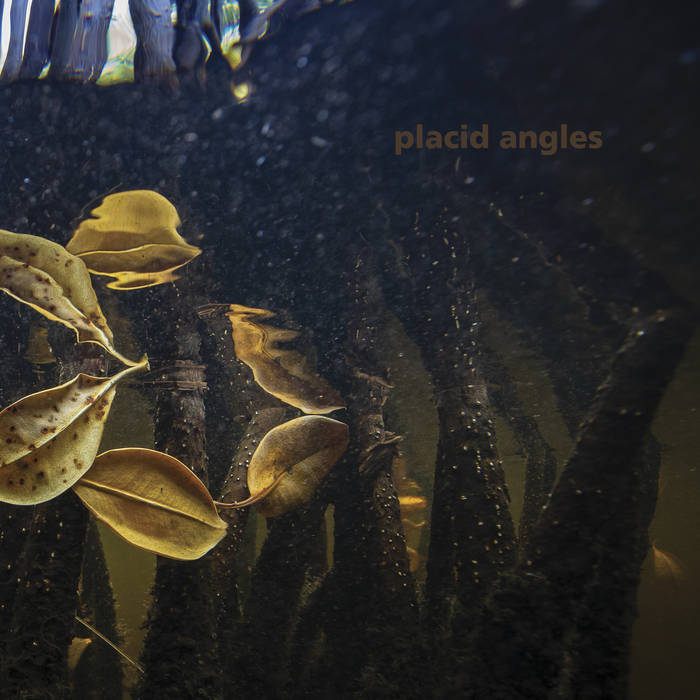 Placid Angles – Touch The Earth