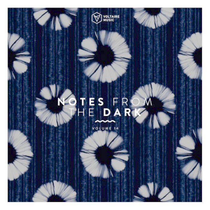 VA – Notes from the Dark, Vol. 14