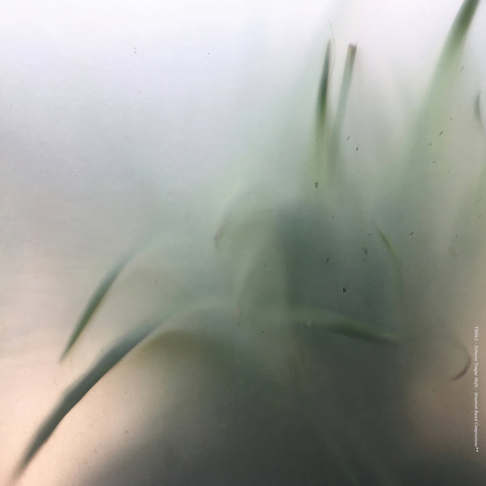 TIBSLC – Delusive Tongue Shifts – Situation Based Compositions [Hi-RES]