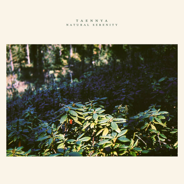 taennya – natural serenity