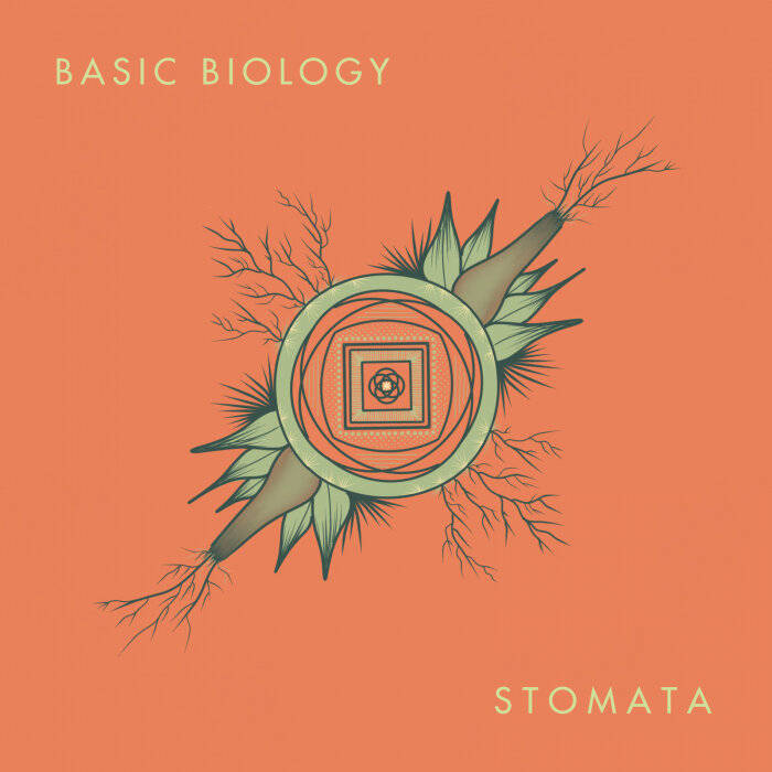 Basic Biology – Stomata LP