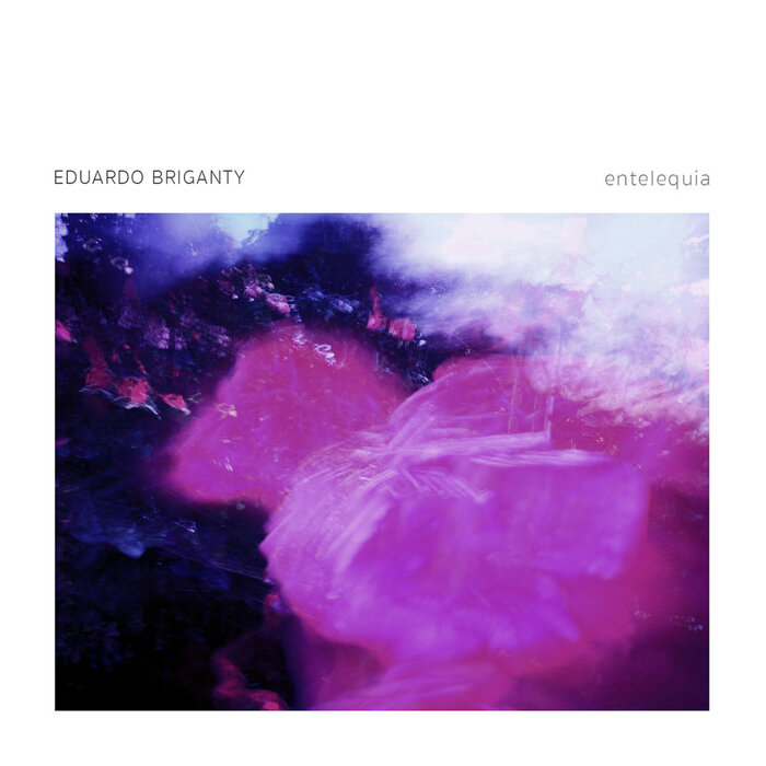Eduardo Briganty – Entelequia