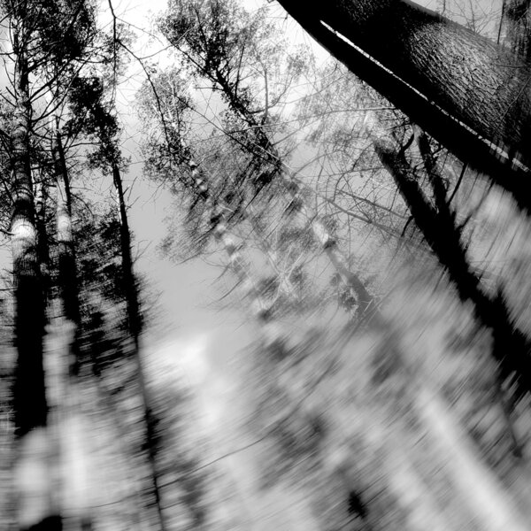Loess – Totems