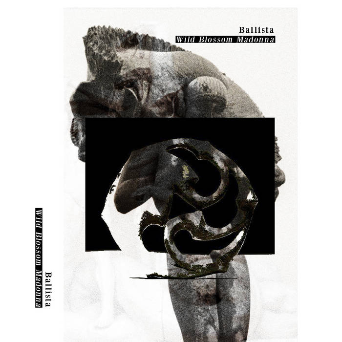 Ballista – Wild Blossom Madonna