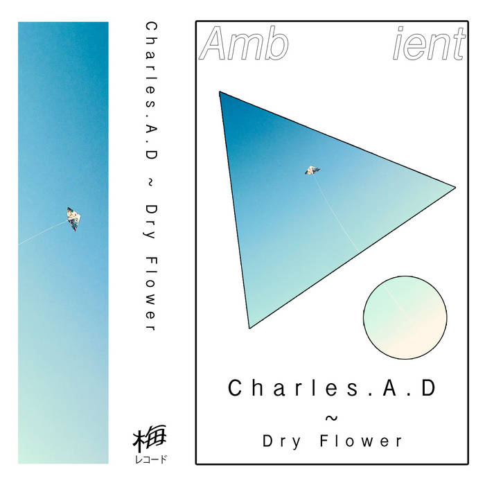 Charles.A.D – Dry Flower