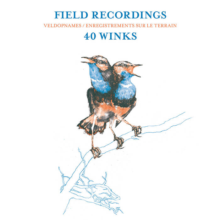 40 Winks – Field Recordings [Hi-RES]