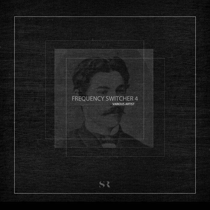 VA – Frequency Switcher Vol 4