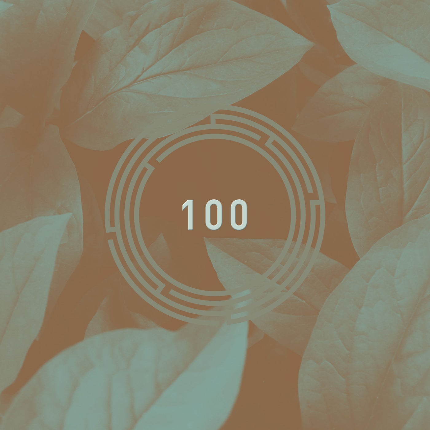VA – RYNTH 100