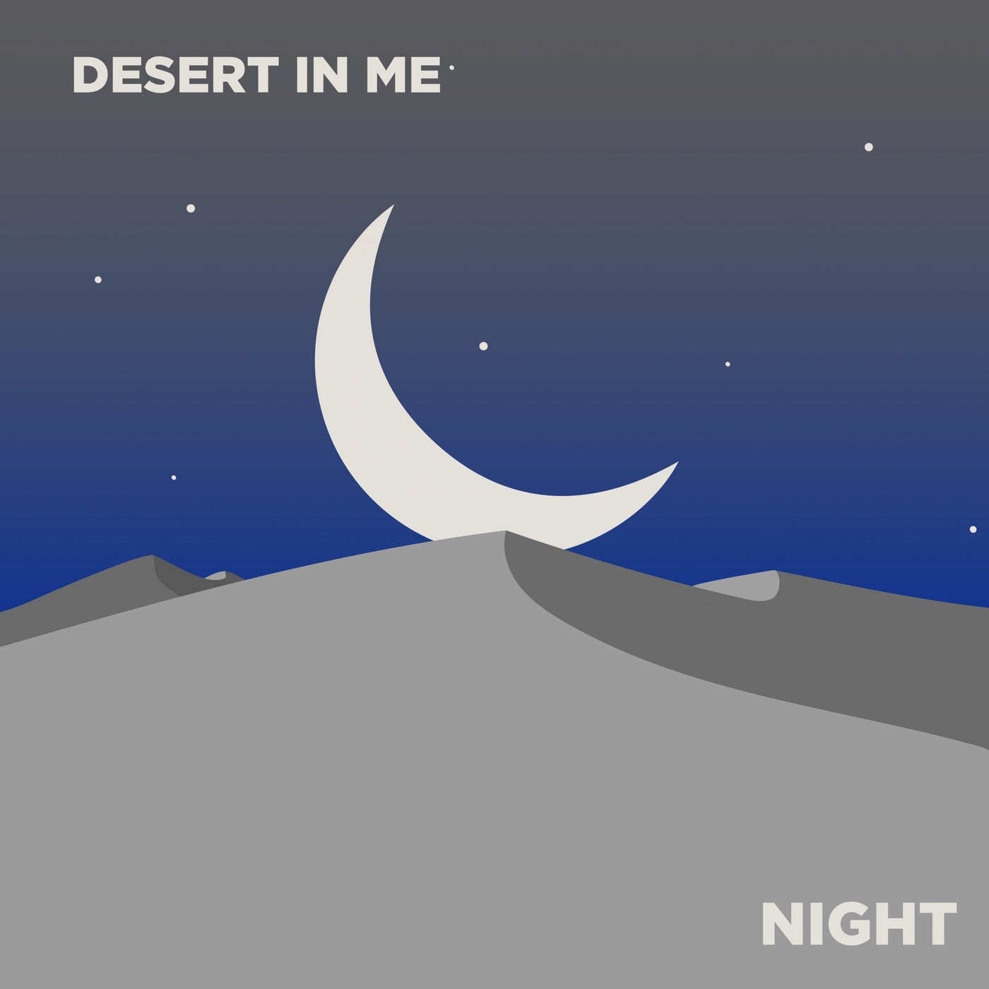 VA – Desert In Me: Night