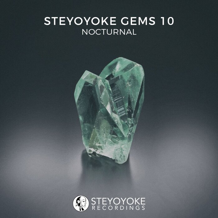 VA – Steyoyoke Gems Nocturnal 10
