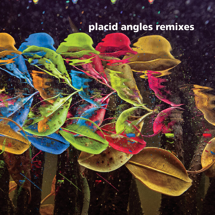 Placid Angles – Touch The Earth Remixes