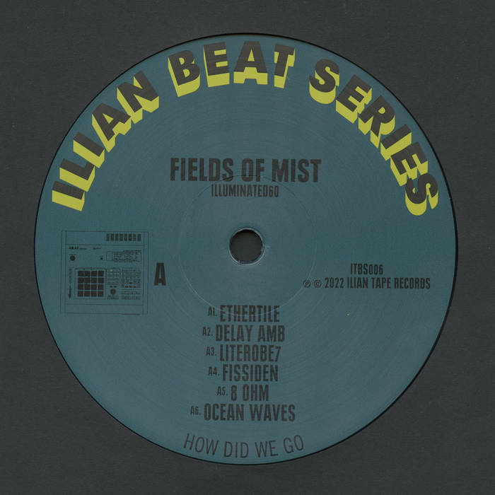 Fields Of Mist – Illuminated60