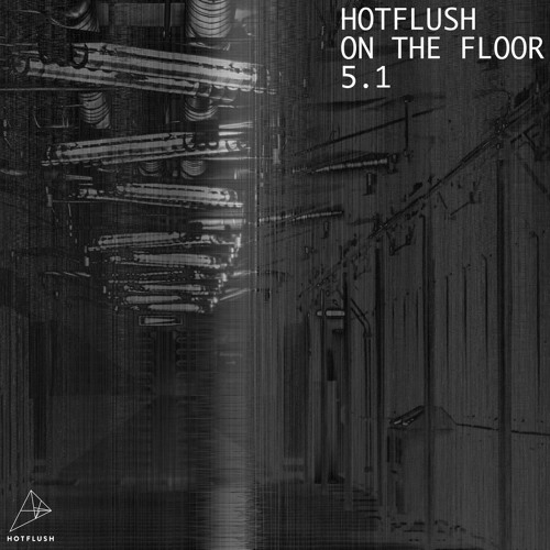 VA – Hotflush On The Floor 5.1