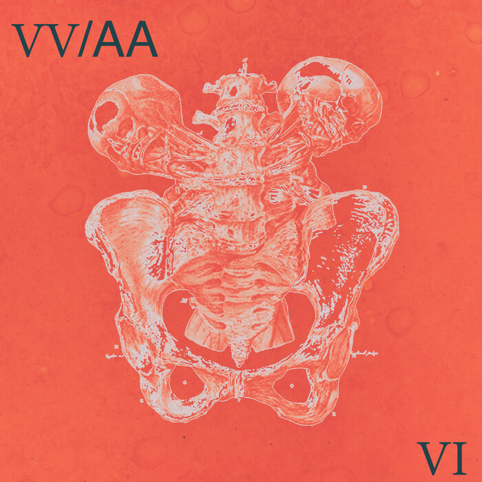 VA – VV/AA 006