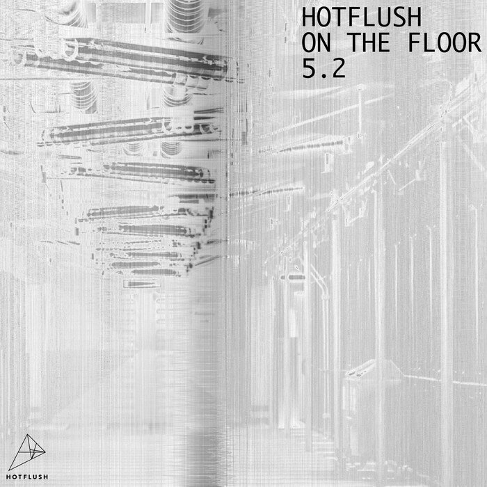 VA – Hotflush On The Floor 5.2