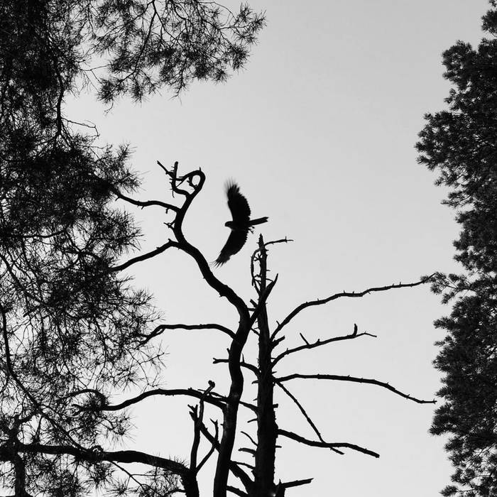 VA – Natura Mentala