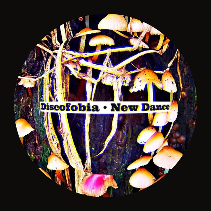 Discofobia – New Dance