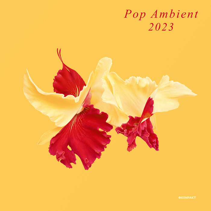VA – Pop Ambient 2023