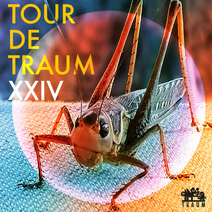 VA – Tour De Traum XXIV