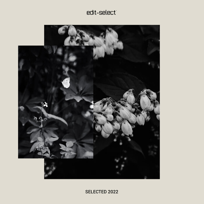 Edit Select – Selected 2022