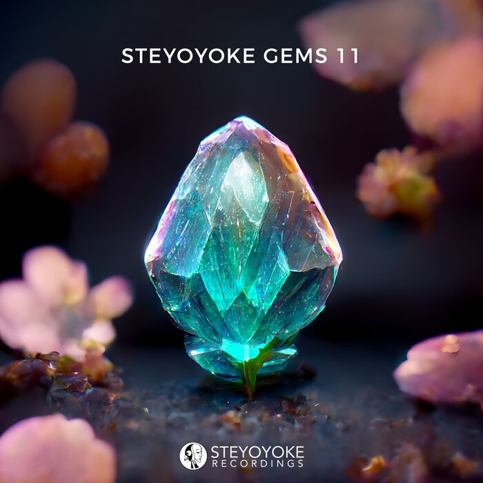 VA – Steyoyoke Gems 11
