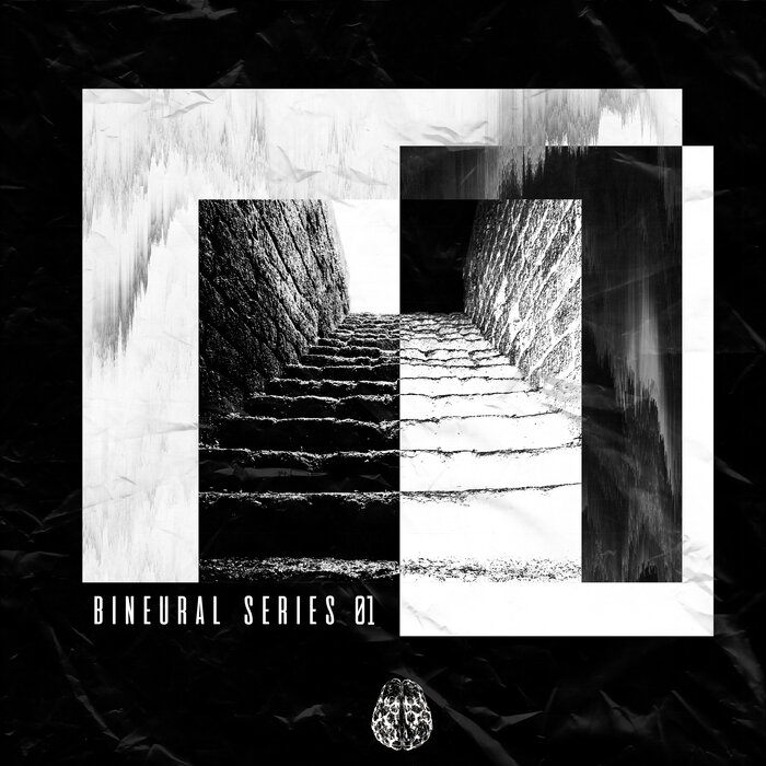 VA – Bineural Series 01