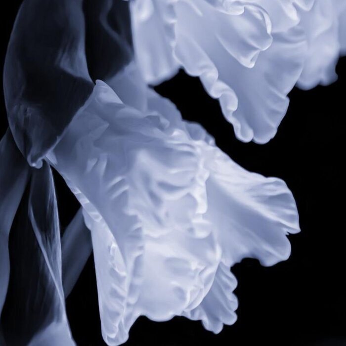 NNAU – Riders On The Storm