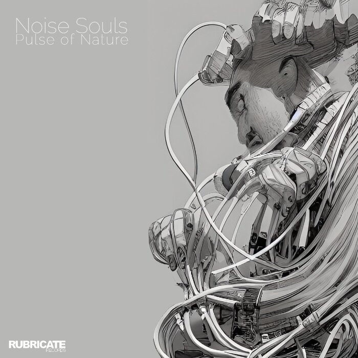 Noise Souls – Pulse Of Nature