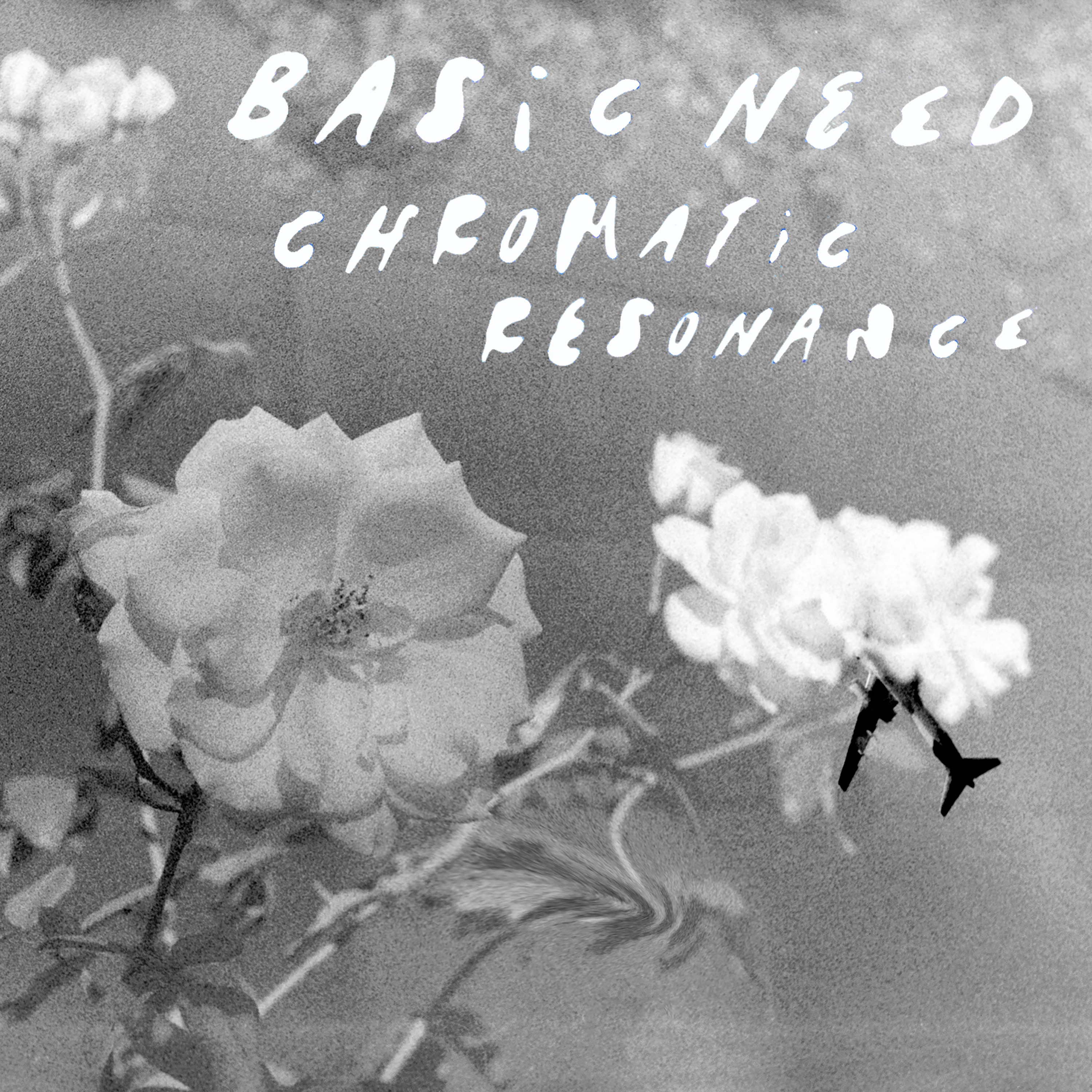 Basic Need – Chromatic Resonance